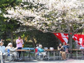 はまみの里でお花見